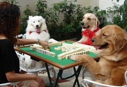 什么？代理友情漆就可做百萬富翁